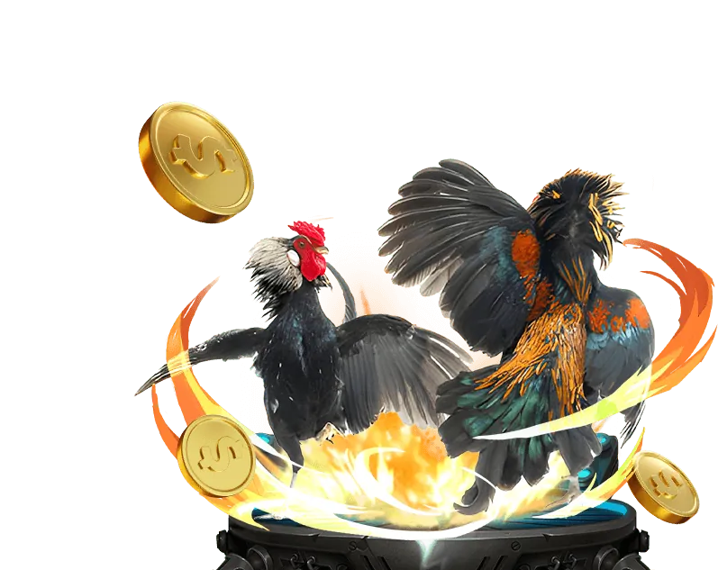 Ưu điểm nổi bật của 58win